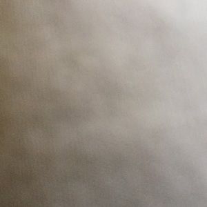 Meet your Posher, Eli